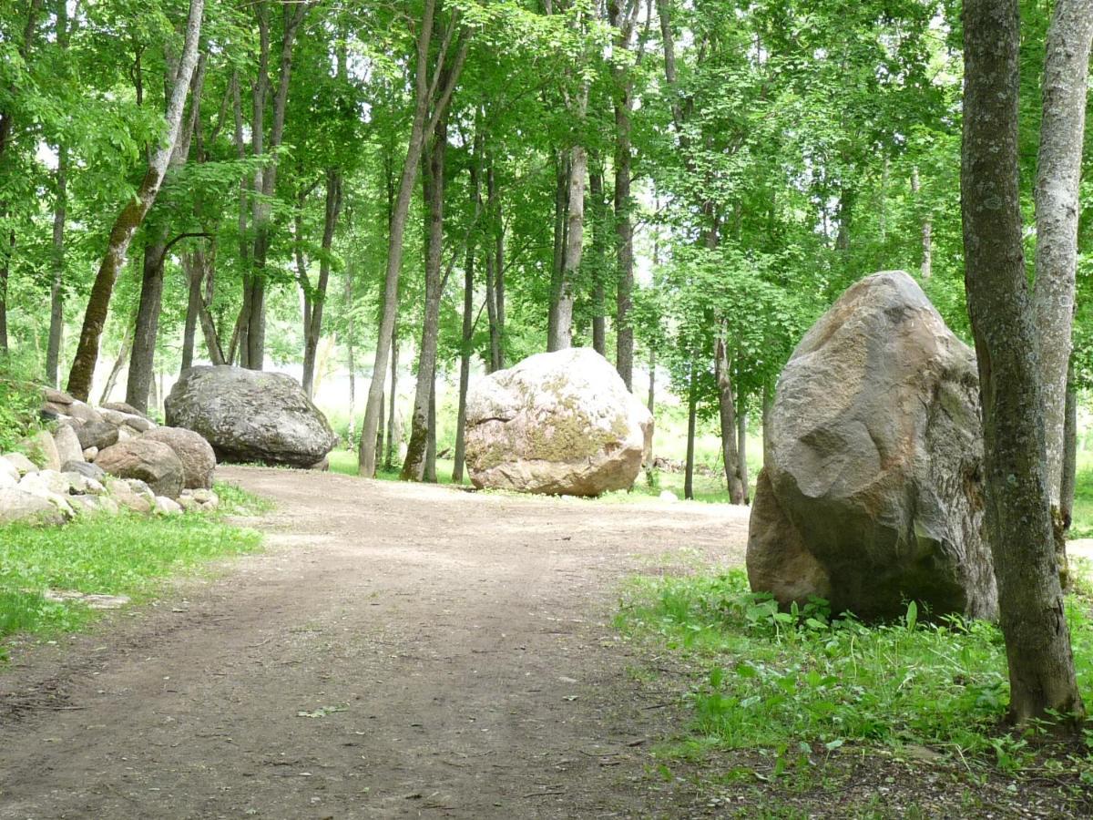 Taujenu Dvaro Sveciu Namai Towiany Exteriör bild